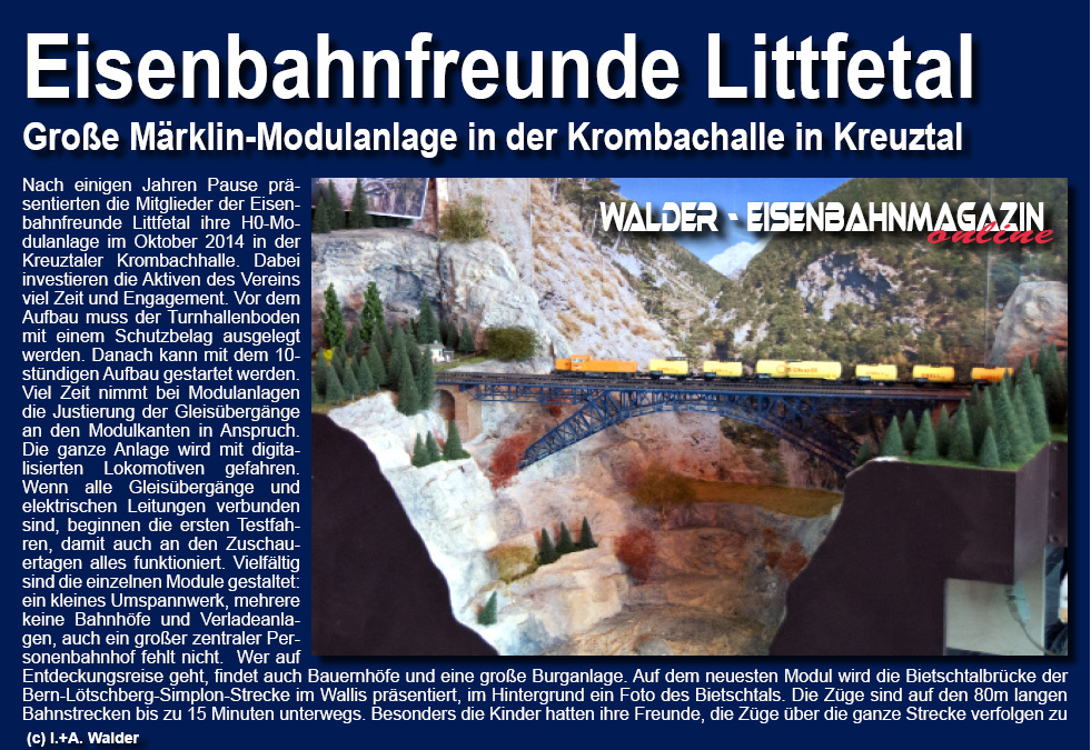 Eisenbahnfreunde Littfetal